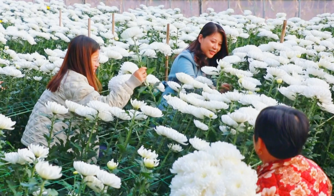 �F�ǅ^(q��)���ջ������M�ء���