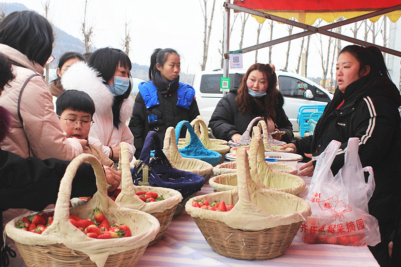 ��ݮ�h��c�´� | ���f�(zh��n)��ɽ�ڲ�ݮ��ժ��Ȥ���������w�(y��n)�e����ζ