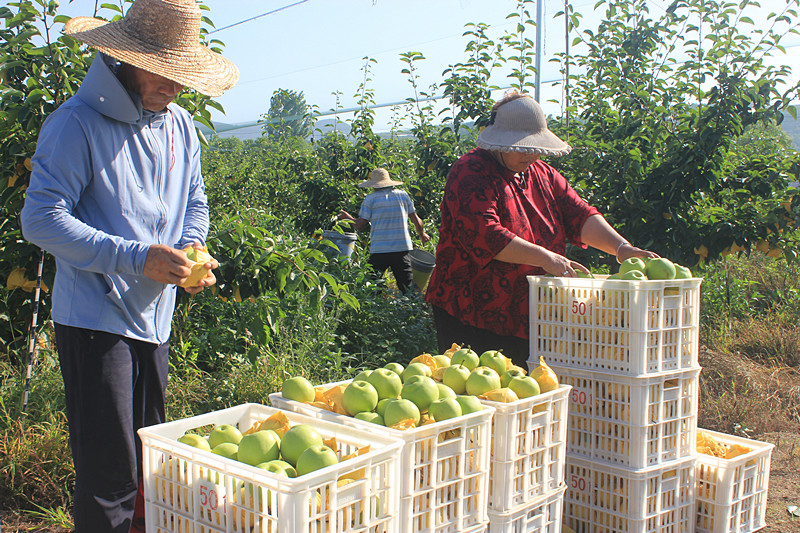 ��óԣ����Ѕ^(q��)ǰ�����@�����@������������