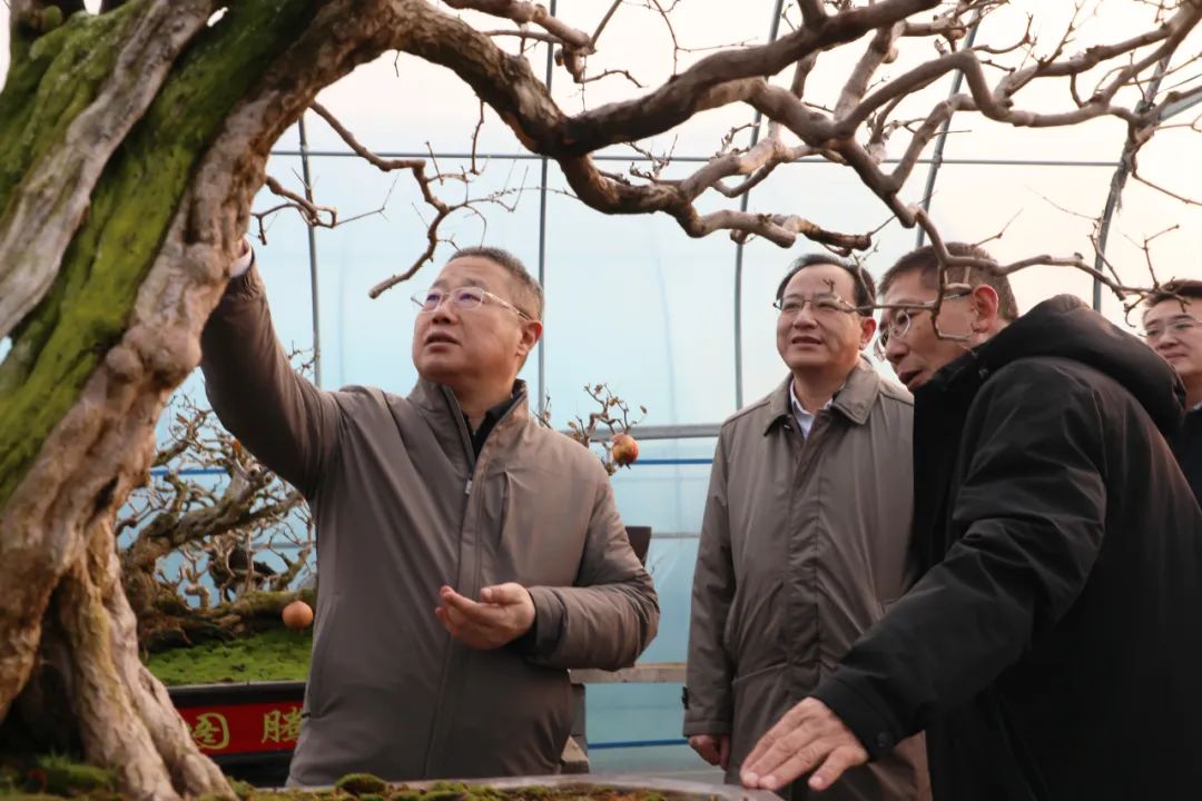 ���f��ί����ӛ������ί��ӛ�����ށ�F�ǅ^(q��)�{(di��o)��ʯ��a(ch��n)�I(y��)�l(f��)չ����