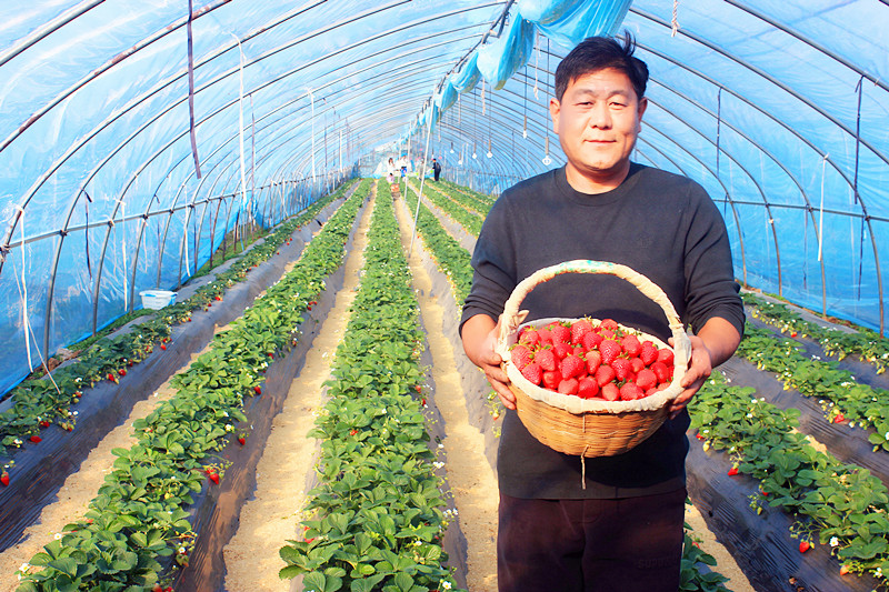 2025��ɽ�|��ݮ�a(ch��n)�I(y��)���(hu��)�A�M���_�����f���R�ϲ�ݮ�@��ժ�ý�(ji��ng)